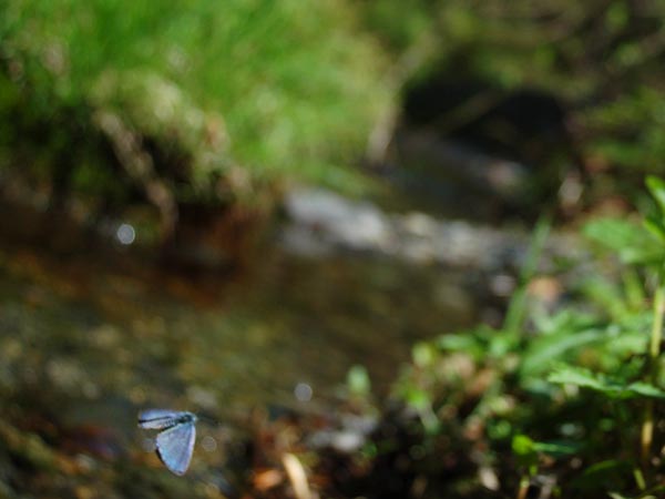 c0045352_17372868.jpg