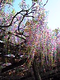 d0007957_22585847.jpg