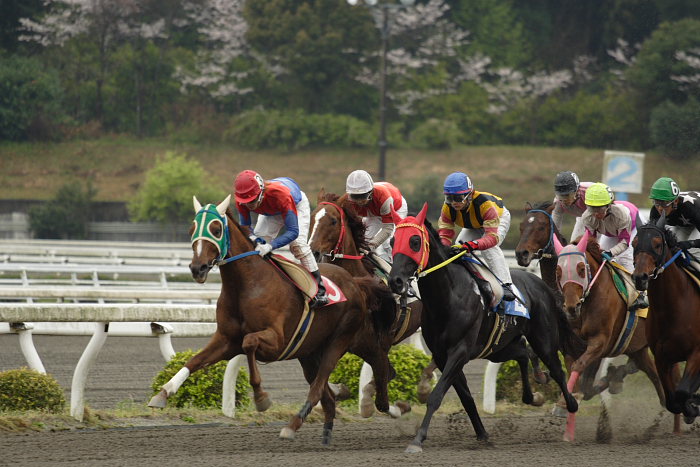 2007年4月7日（土） 高知競馬 5R_a0077663_12472046.jpg