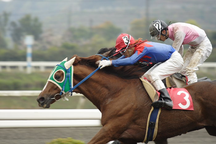 2007年4月7日(土) 高知競馬 5R_a0077663_12474184.jpg