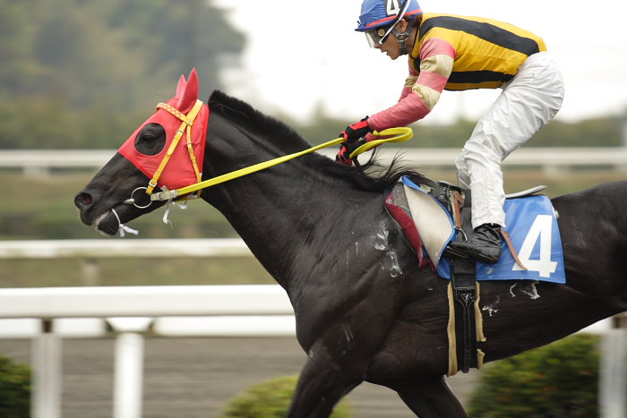 2007年4月7日(土) 高知競馬 5R_a0077663_12475170.jpg