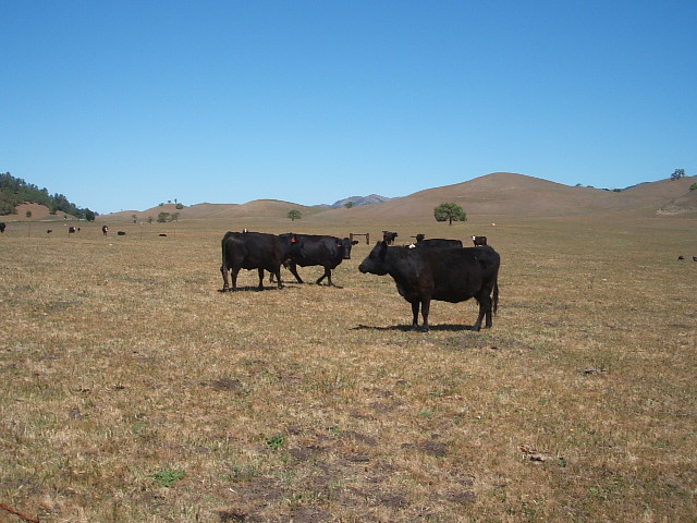 c0115366_13495270.jpg