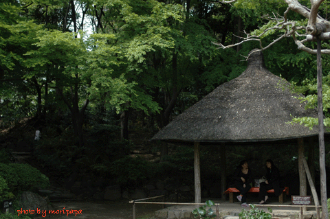a0094711_115972.gif