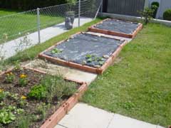 c0047812_22132024.jpg