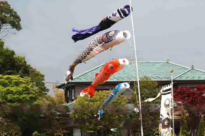 f0012718_22205996.jpg