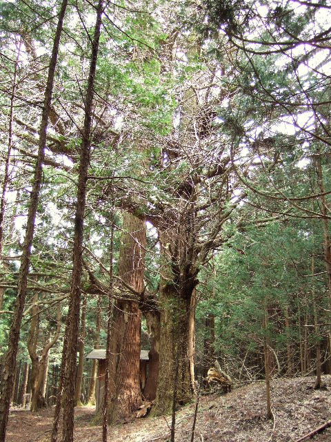e0064133_1235249.jpg