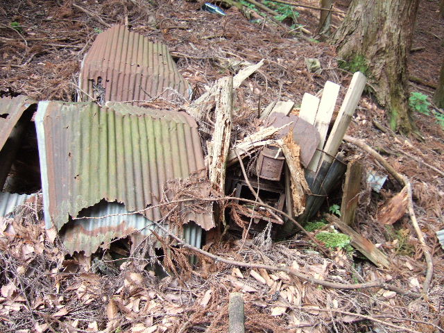 e0064133_1255433.jpg