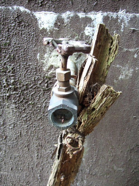e0064133_126385.jpg