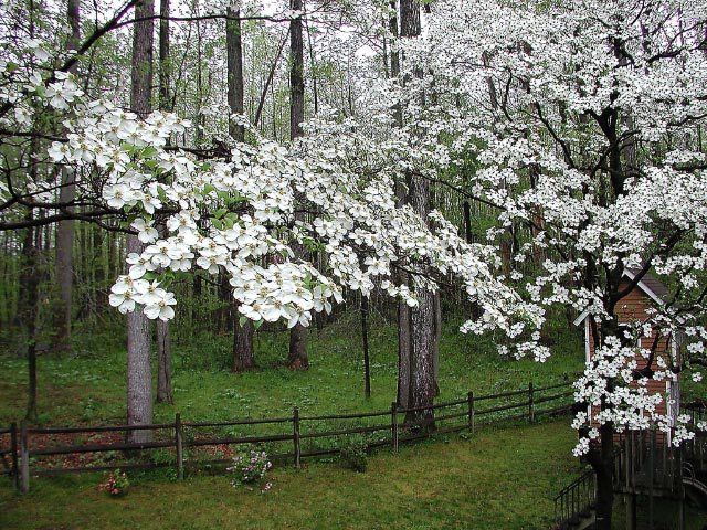 f0020336_21112974.jpg