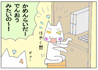 c0064647_2953.gif