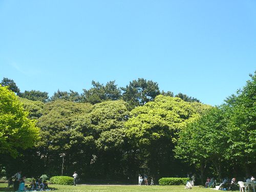白金 東京都庭園美術館 と　Cafe　茶洒　kanetanaka。。。.ﾟ｡*･｡♡_a0053662_16431068.jpg