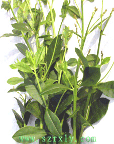 c0076764_1929349.gif