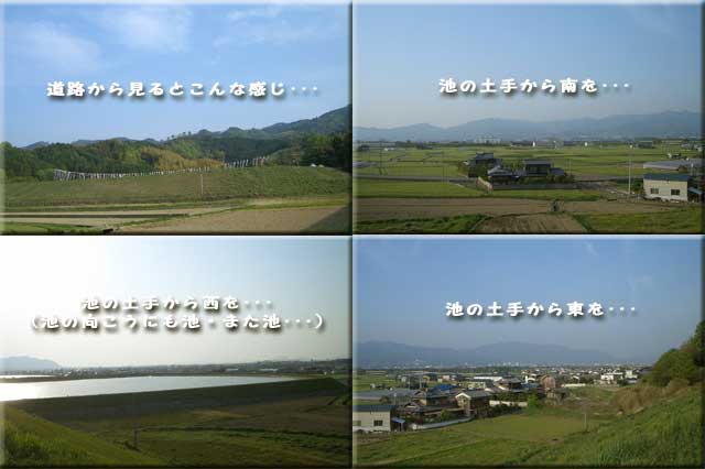f0104569_0163157.jpg