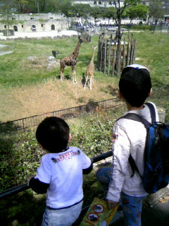 天気がいいので動物園_d0078271_20144212.jpg