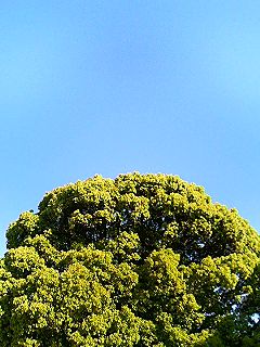 f0054677_829404.jpg
