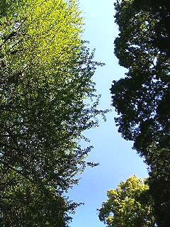 f0054677_830717.jpg