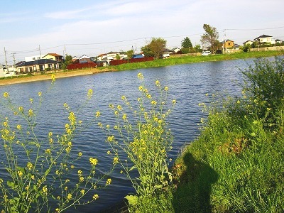 c0078480_18424041.jpg