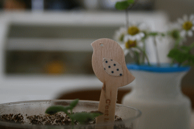 d0100192_2035857.gif