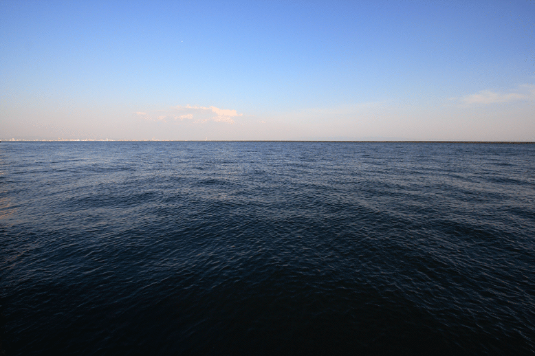 e0063003_16422690.gif