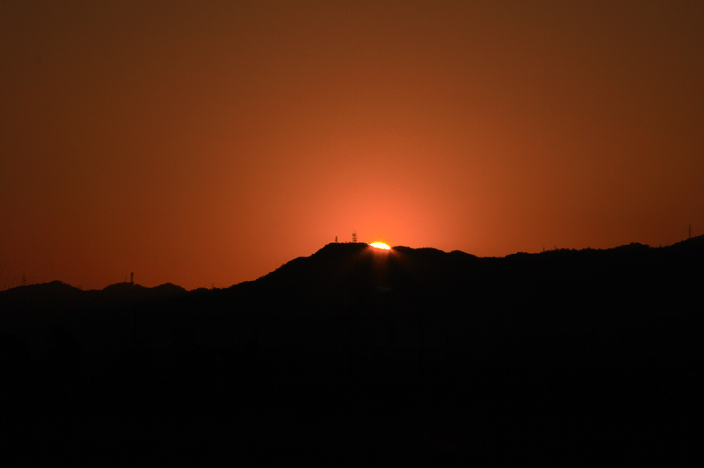 e0063003_16435829.gif