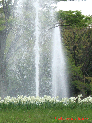 a0094711_943535.gif