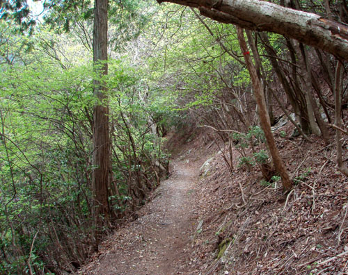 北山 天ヶ岳_e0048413_18574534.jpg