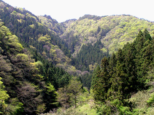 北山 天ヶ岳_e0048413_1857692.jpg