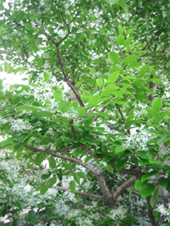 d0040729_31564.jpg