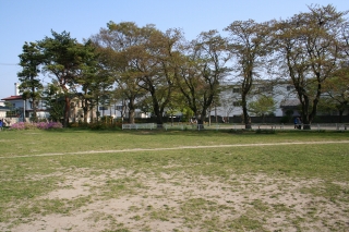 f0039933_23134419.jpg