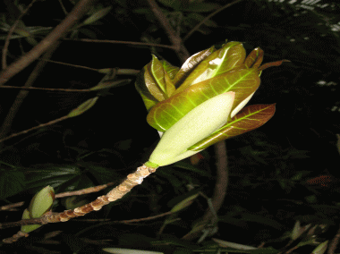 b0100637_21545245.gif