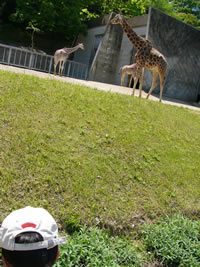 e0098240_16343574.jpg