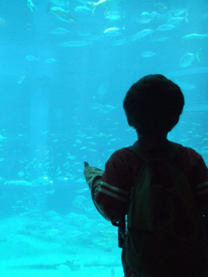 a0085647_16453573.gif