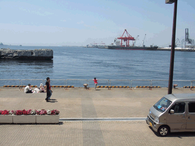 a0085647_1653332.gif