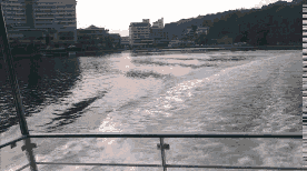 a0055650_933728.gif