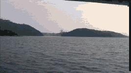 a0055650_962871.gif