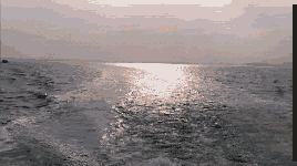 a0055650_992637.gif