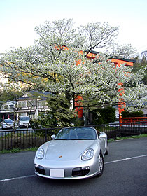 d0054855_22575691.jpg