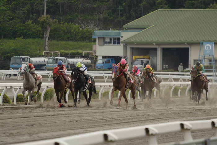 2007年4月30日（月） 高知競馬 10R 忘れな草特別_a0077663_17531188.jpg