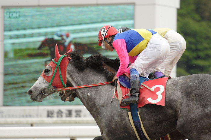 2007年4月30日(月) 高知競馬 10R 忘れな草特別_a0077663_1753152.jpg