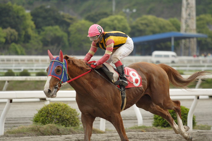 2007年4月30日(月) 高知競馬 10R 忘れな草特別_a0077663_1753338.jpg