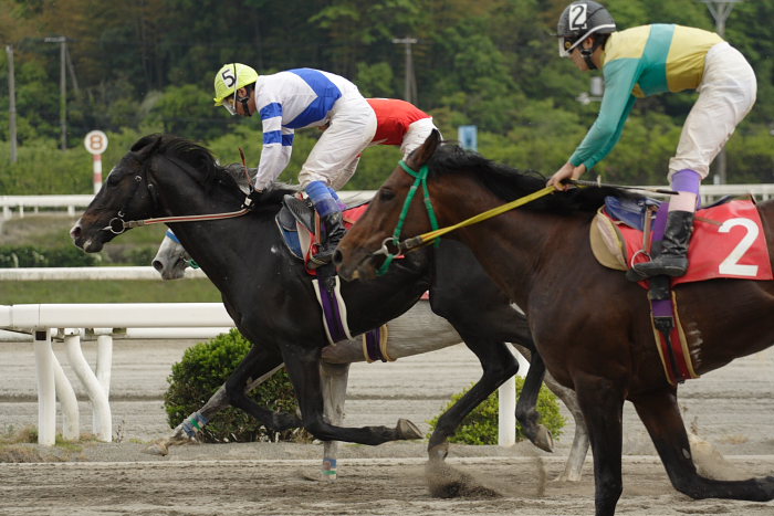 2007年4月30日(月) 高知競馬 10R 忘れな草特別_a0077663_17534458.jpg