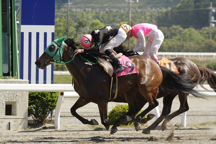 2007年4月29日(日) 高知競馬 7R_a0077663_9481735.jpg
