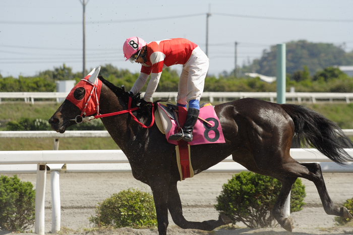 2007年4月29日（日） 高知競馬 7R_a0077663_9482797.jpg