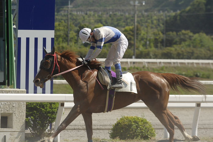 2007年4月29日(日) 高知競馬 7R_a0077663_948367.jpg