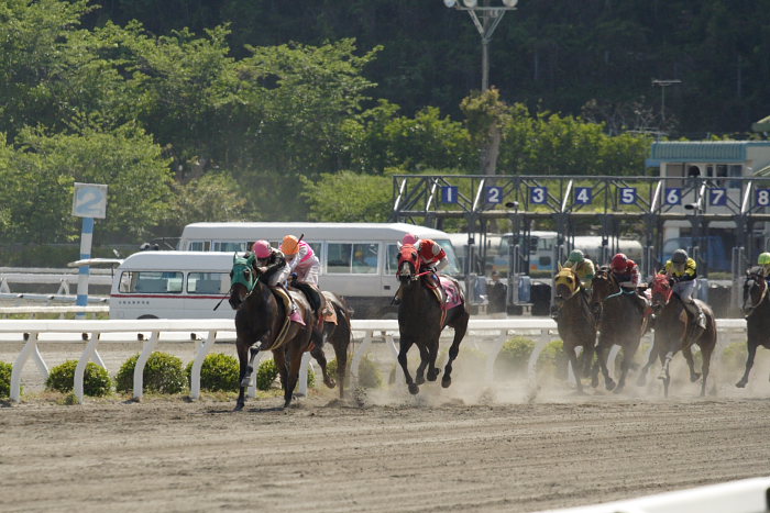 2007年4月29日（日） 高知競馬 7R_a0077663_948786.jpg