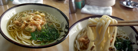 高知名物けつねうどん_a0053772_23395450.jpg