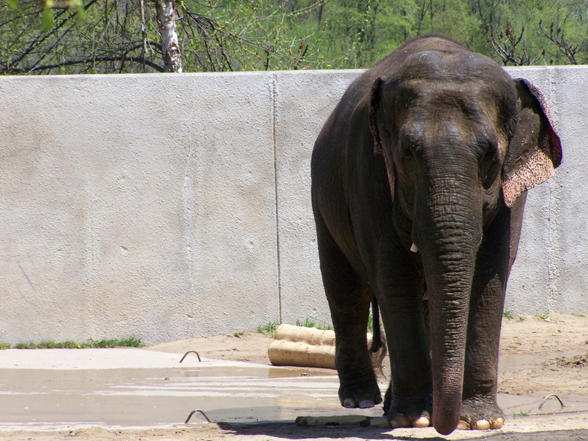 動物園日和♪_e0028272_10343030.jpg