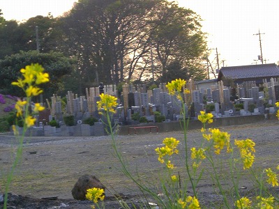 c0078480_2205552.jpg