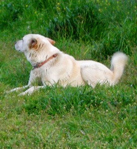 c0078480_228388.jpg