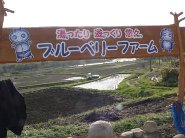 a0041183_15492349.jpg